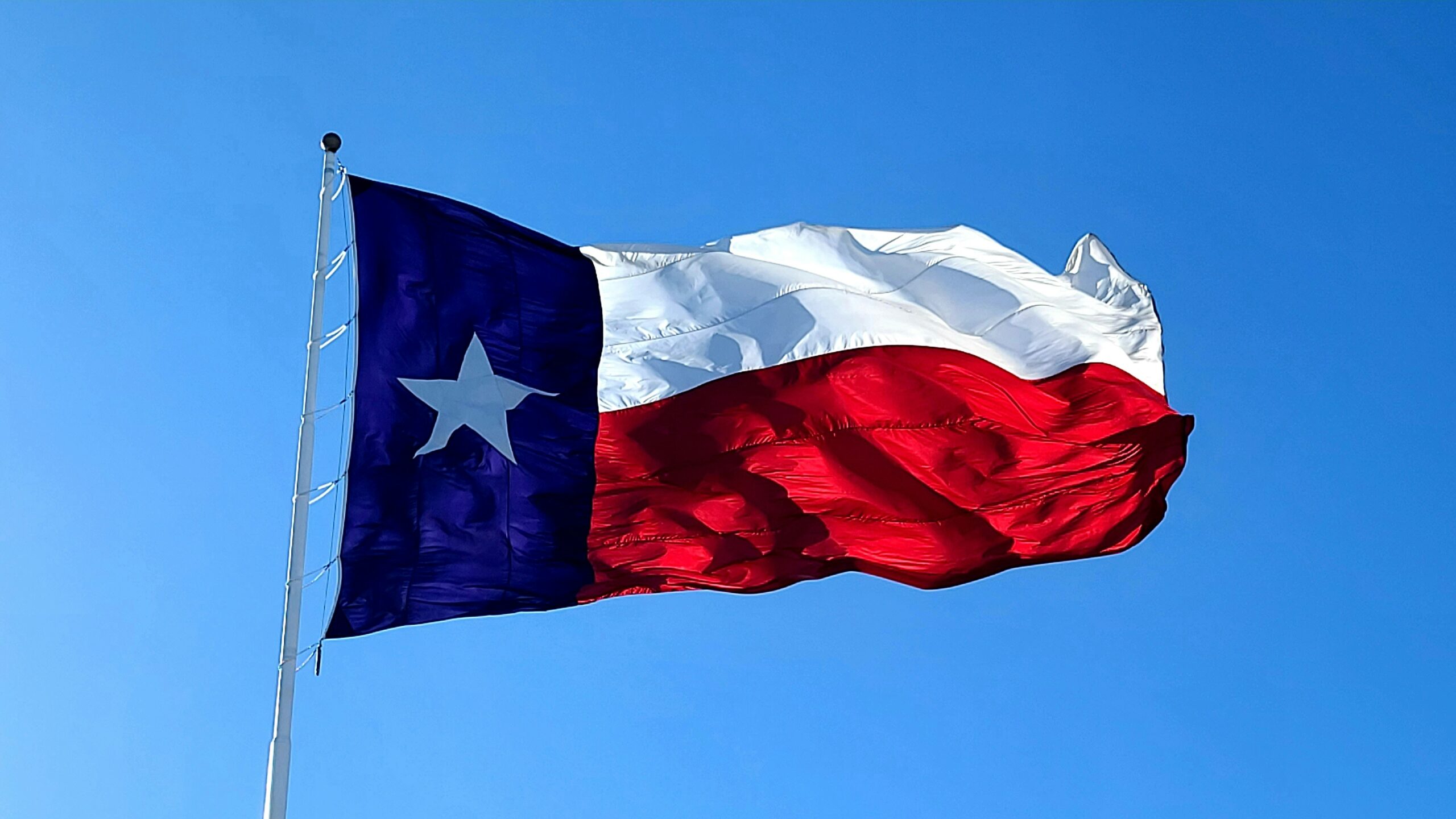 The Power of Gubernatorial Pardons in Texas: A Case Study